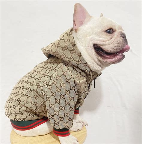 cane gucci|gucci clothing for dogs.